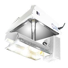 Shop Ceramic Metal Halide Grow Lights Product Category