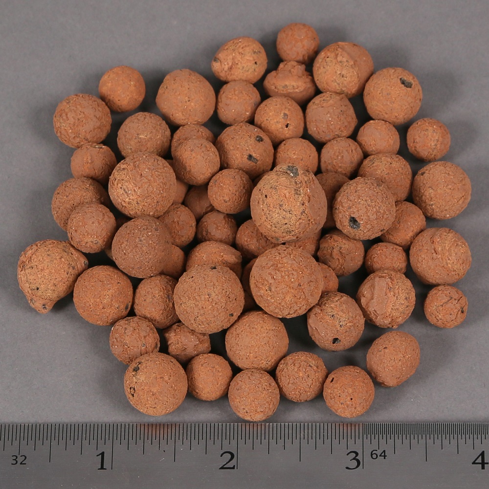 Hydroton Clay Pebbles