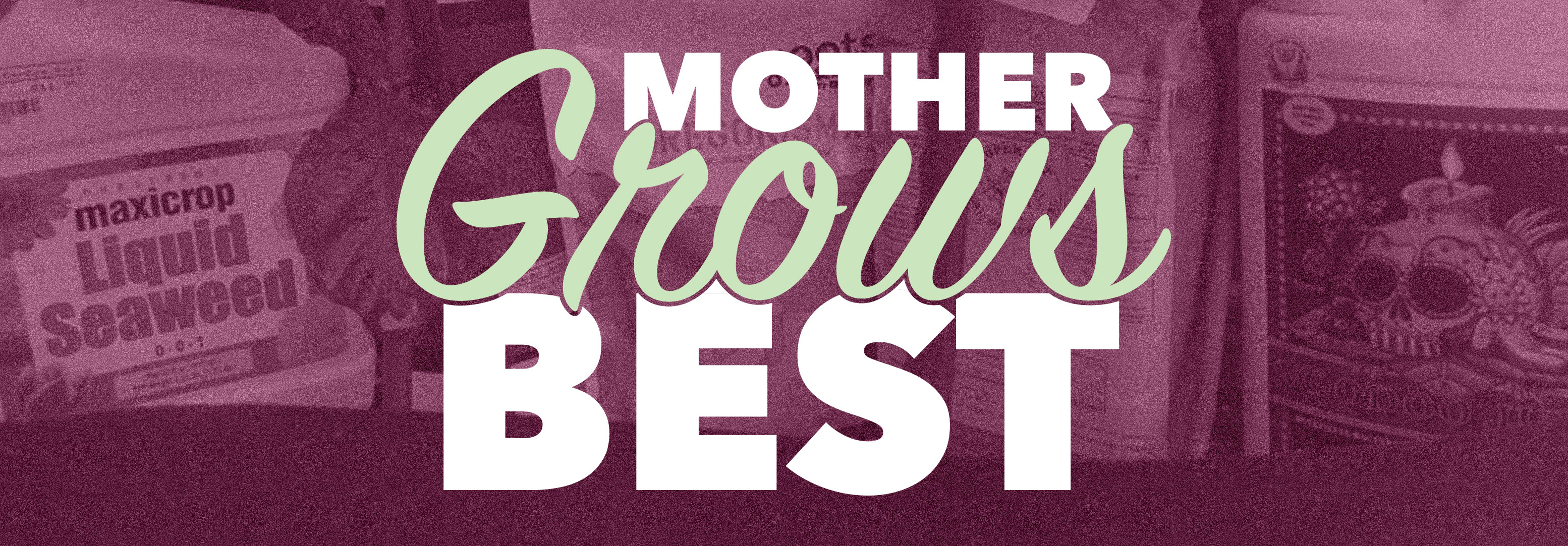 Talking-Shop-Mother-Grows-Best