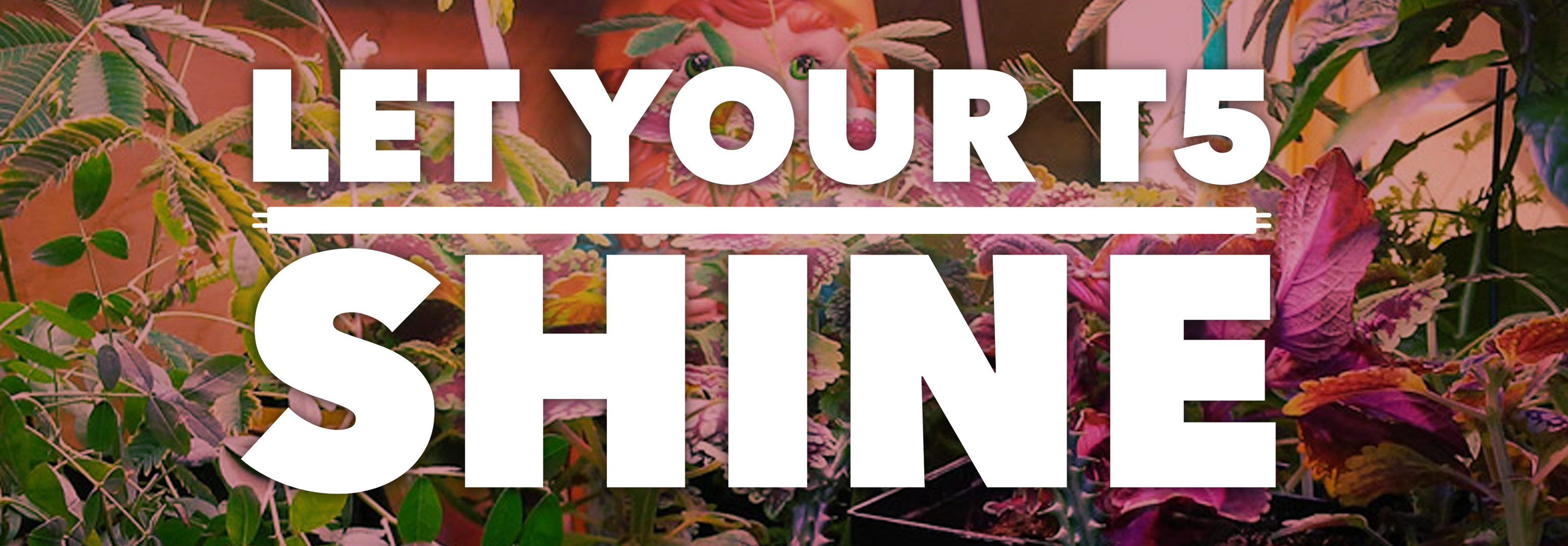Talking-Shop-Let-Your-T5-Shine