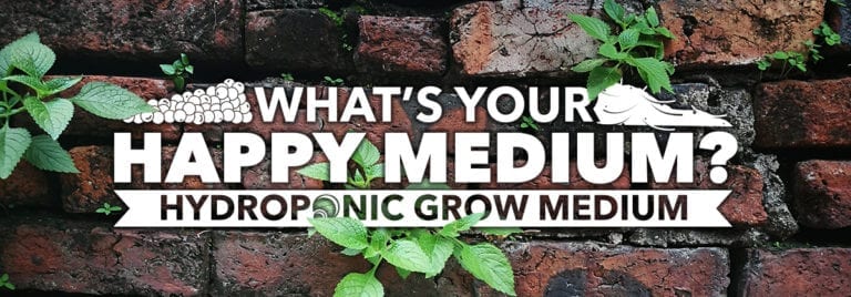 Hydroponic Grow Medium Comparison
