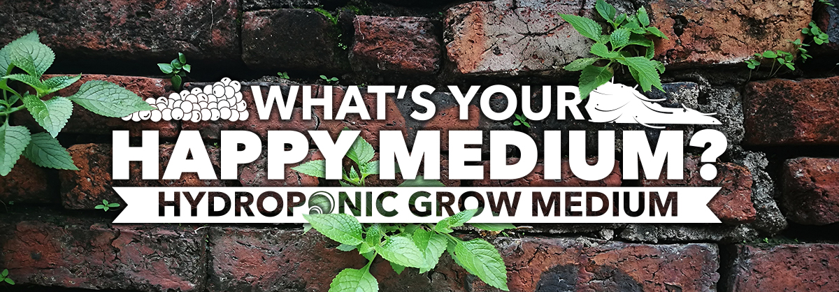 talking-shop-hydroponic-medium
