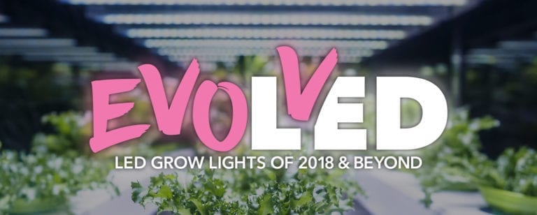 Top LED Grow Light Technology