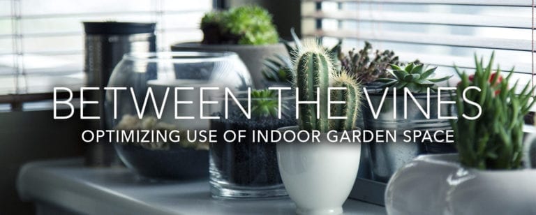 Efficient Indoor Growing