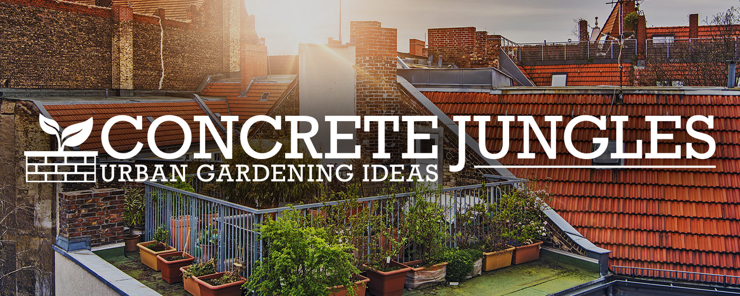 Urban Gardening Ideas