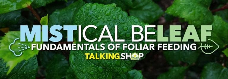 Foliar Feeding