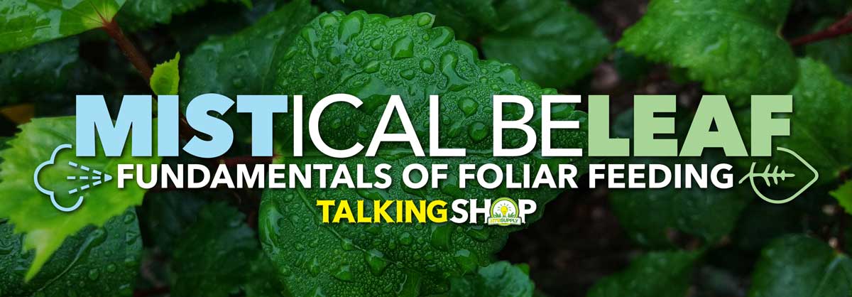 talking-shop-foliar