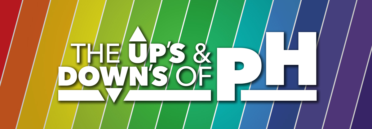 talking-shop-ups-and-downs-of-pH