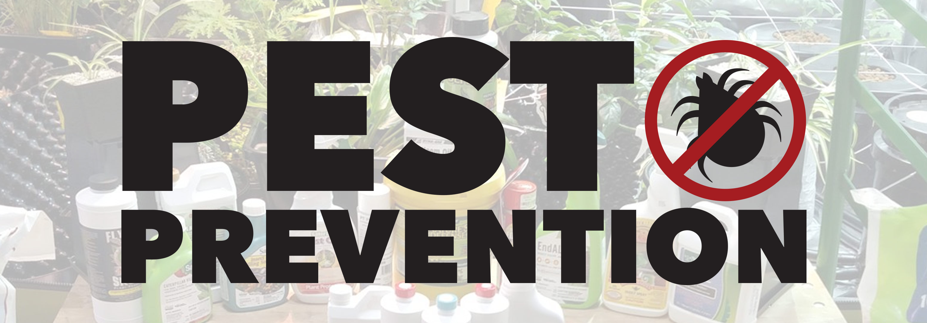 Talking-Shop-Pest-Prevention