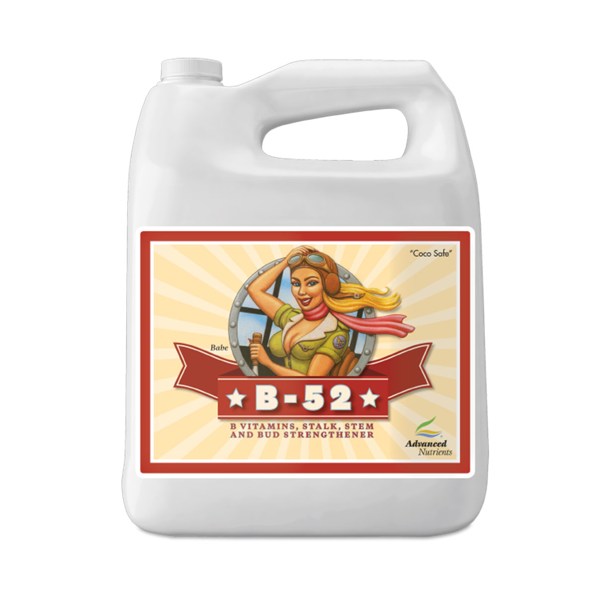 Advanced Nutrients B52 4 Liter