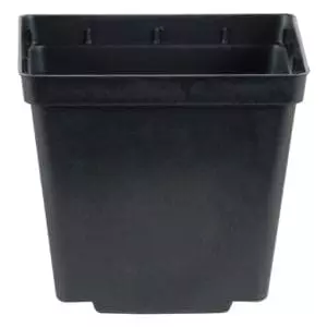 Kord Square Pot 4In