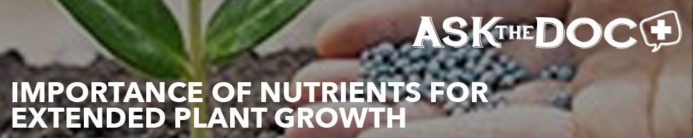 Importance of Nutrients for Extended Plant Growth