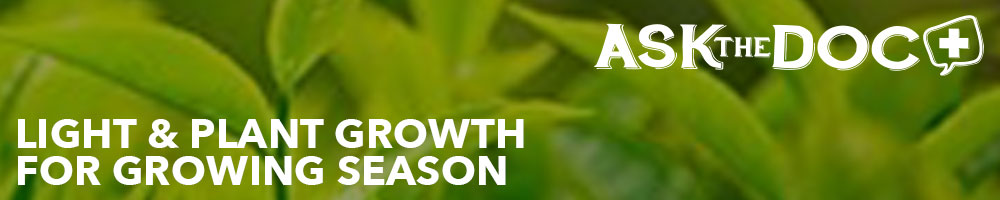 Light & Plant Growth for Growing Season