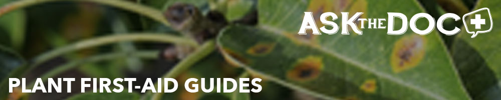 Plant First-Aid Guides