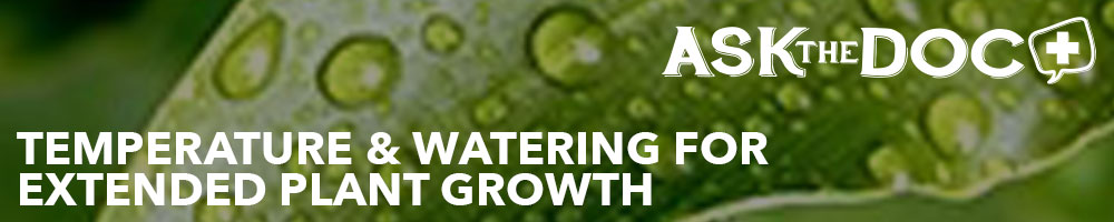 Temperature & Watering for Extended Plant Growth