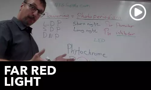 Htg Info Center Ask The Doc Far Red Light Thumbnail