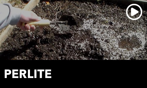 htg-info-center-ask-the-doc-perlite-thumbnail