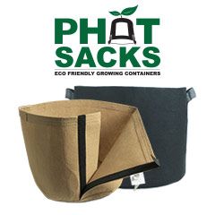 Shop Phat Sacks Product Category