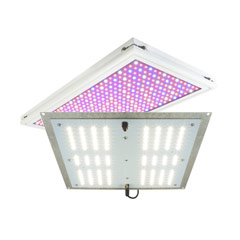 Shop LED Grow Lights for Propagation and Seed Starting Product Category