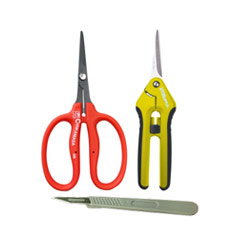 Shop Propagation Scalpels and Tools Product Category