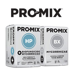 Shop Pro Mix Soil Product Category