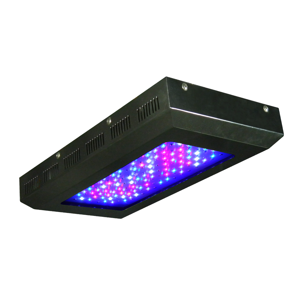 LED Veg Grow Light | 240w LED Grow Lights for Vegetative Growth