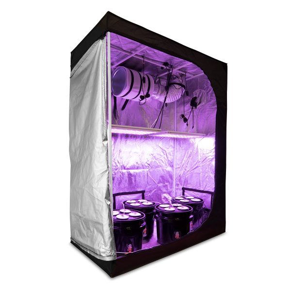 2x4 Four Banger Dual OTD LED Tent