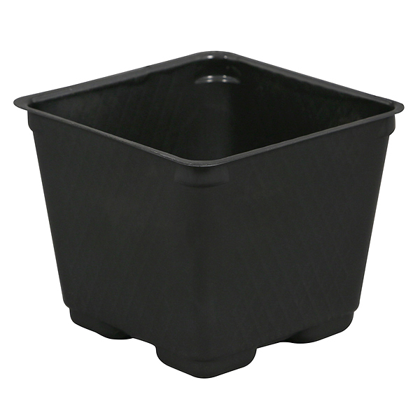 4 Inch Square Pots