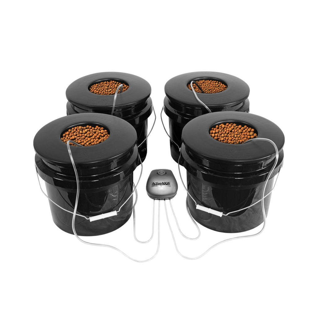 Diy Dwc Hydroponics Bucket System Tutorial Hidroponik
