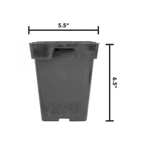 5.5 Inch Square Garden Pot