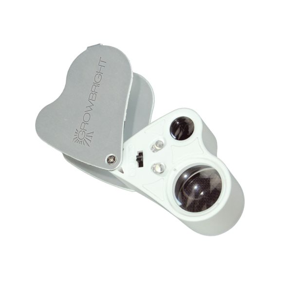Dual Lens Lighted Magnifier