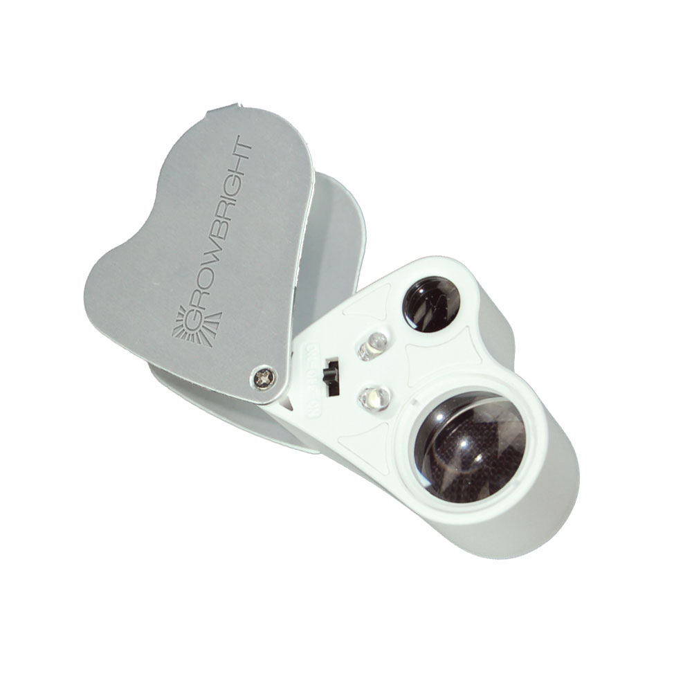 Dual Lens Lighted Magnifier