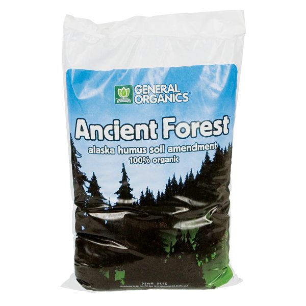 Ancient Forest