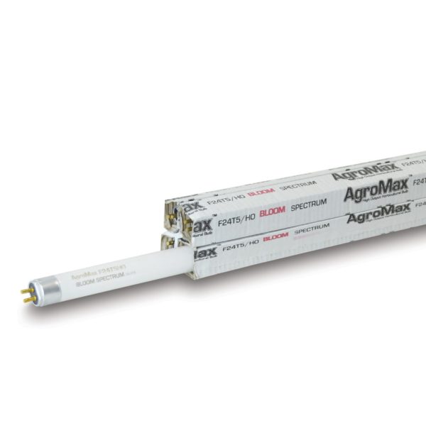AgroMax 2 Foot 3000K T5 Bulbs In Packaging