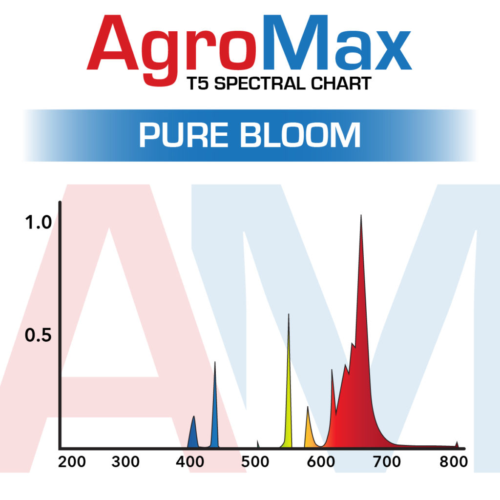 T5 Spectrum Chart