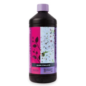 asumam　KINS MILK 4本セット ミルク（Milk）｜KINS｜キンズ公式オンラインショップ