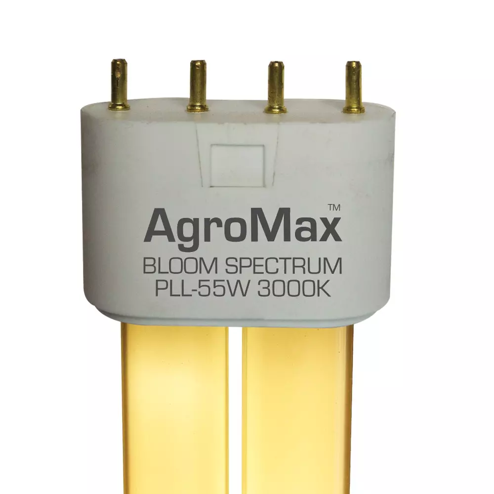 Biax Bloom Bulb