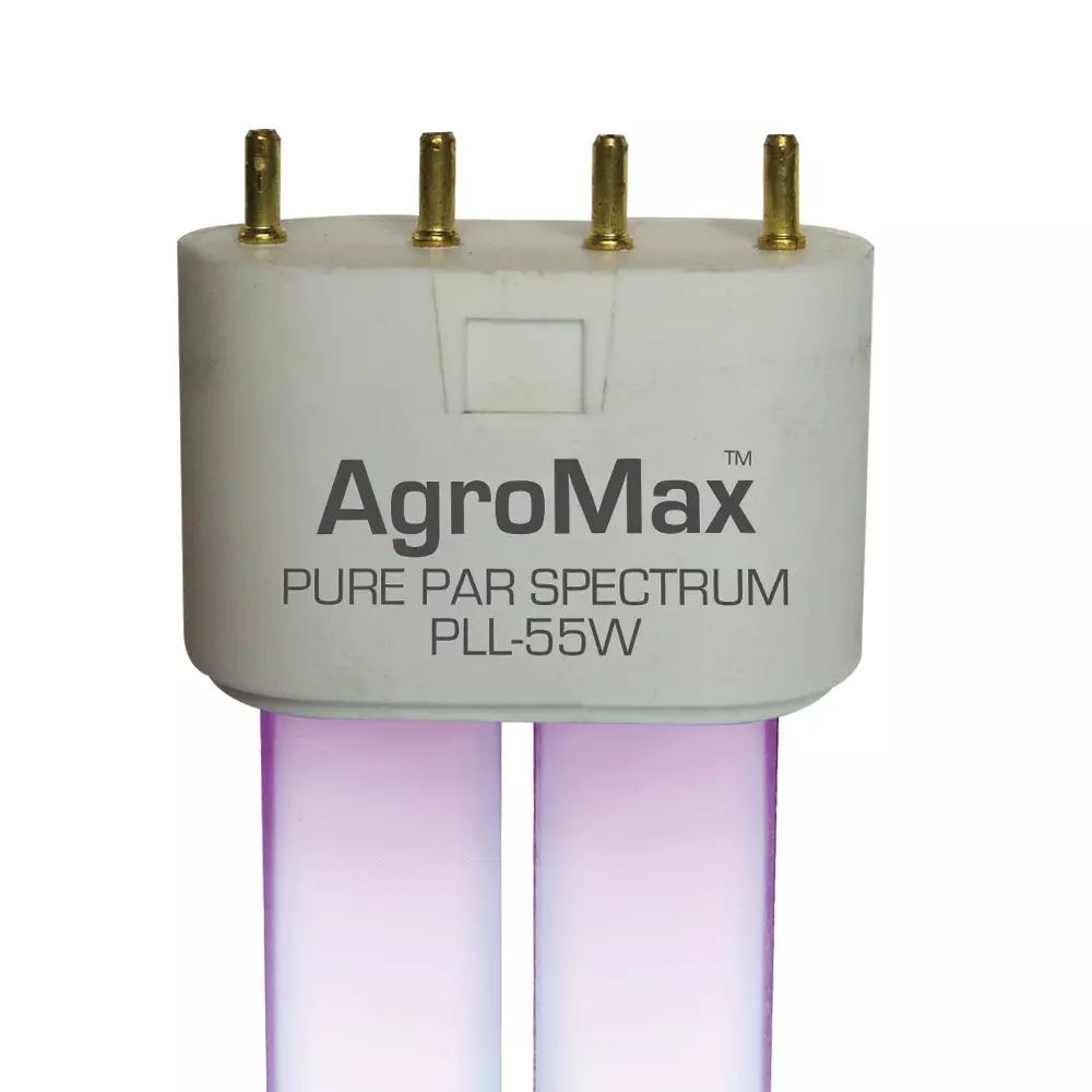 Biax Pure Par Bulb