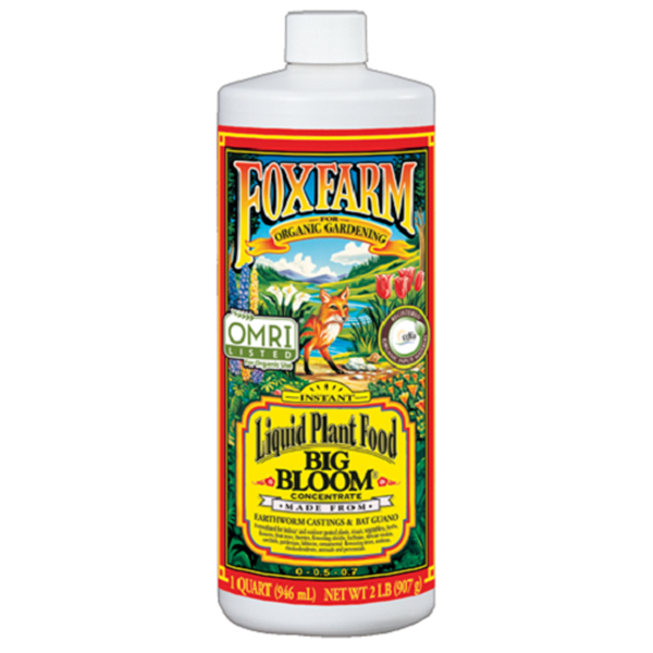 Big Bloom 1 Quart