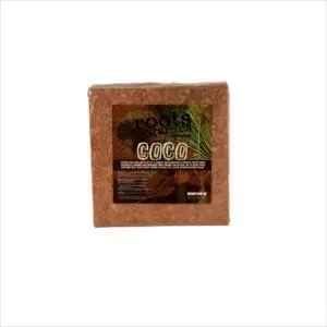 Cocochips