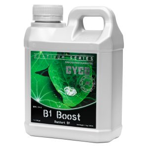 Cyco B1 Boost