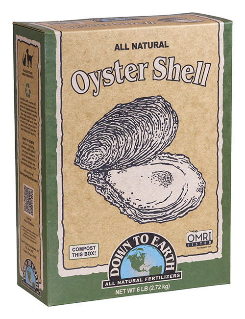 Down To Earth Oyster Shell