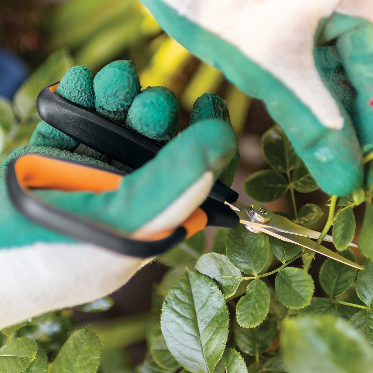 Fiskars Micro Tip Pruning Shears Precision