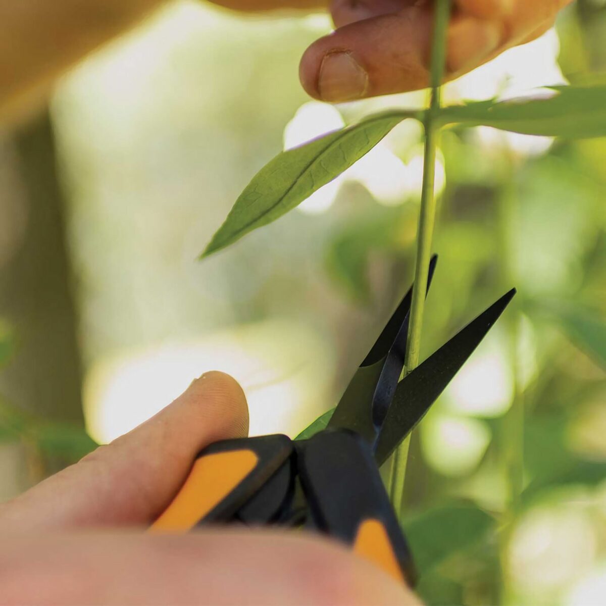 Fiskars Non-Stick Micro-Tip Purning Snips Precision