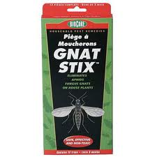 Gnat20Stix