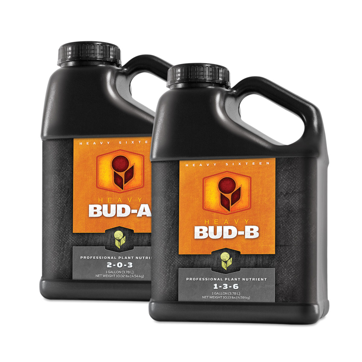 Heavy 16 Bud A B 1 Gallon