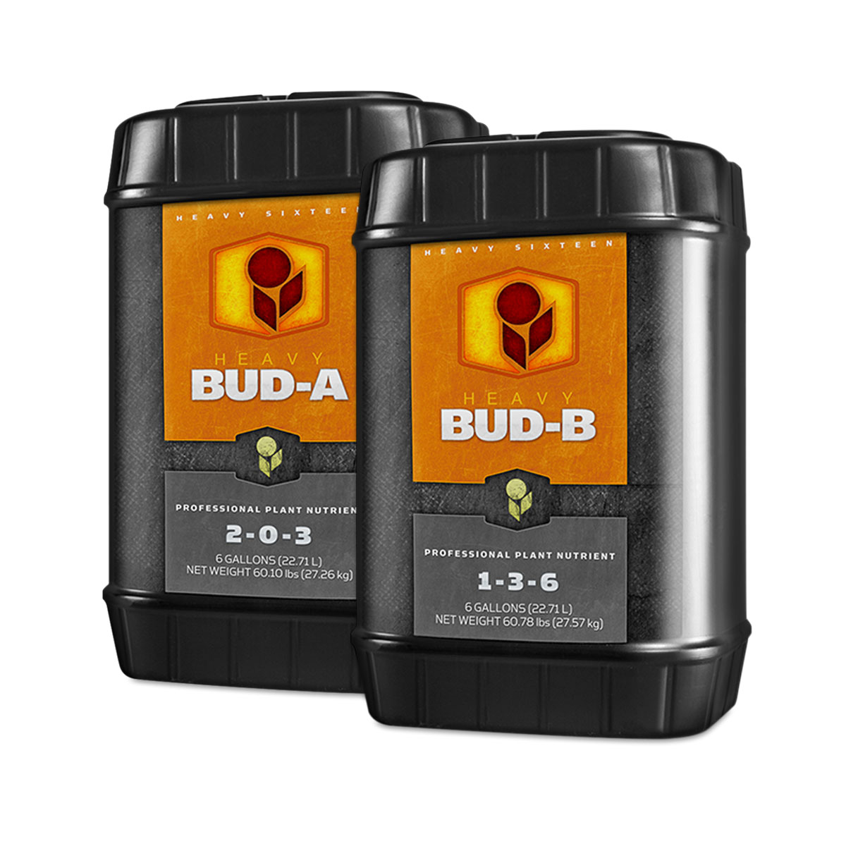 Heavy 16 Bud A B 6 Gallon