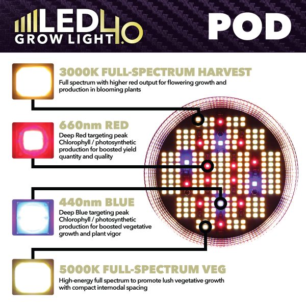 HTG LED 4.0 LED POD SMD Chips