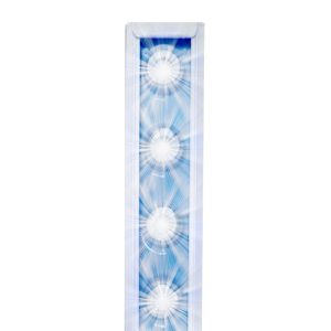 AgroMax Solo Total Blue - 90w