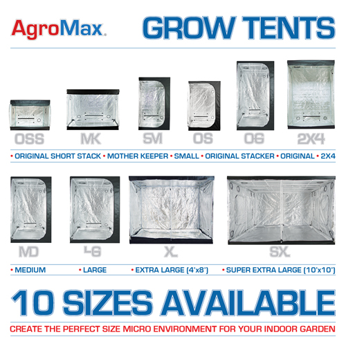 Medium Tent